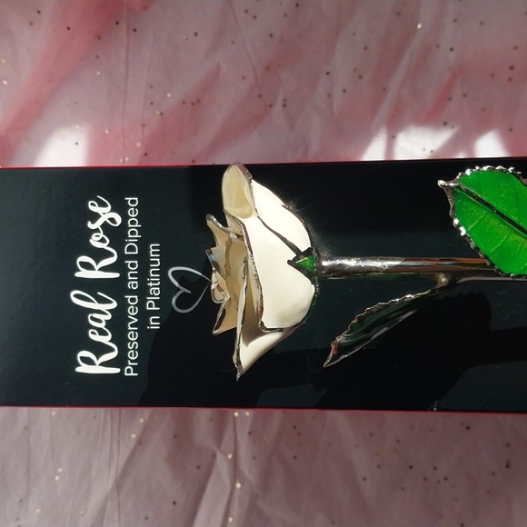 Platinum dipped rose - Picture 3 of 5